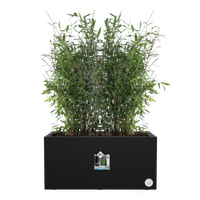 vivo next lang 60cm living schwarz